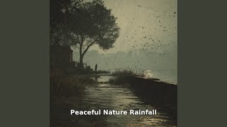 Peaceful Nature Rainfall Motion, Pt.10