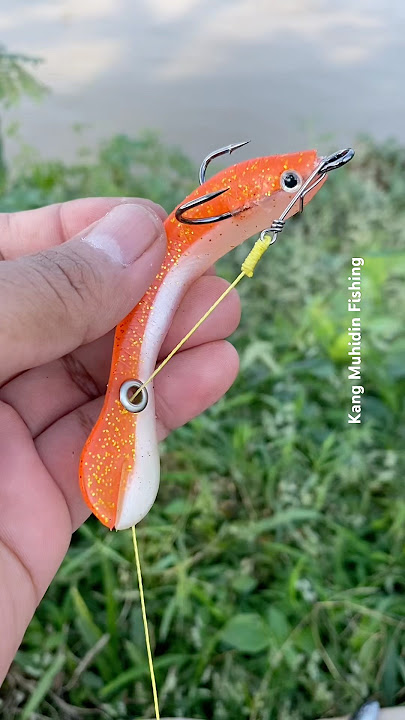 Fishing bait soft lure #fishing #mancing #angler