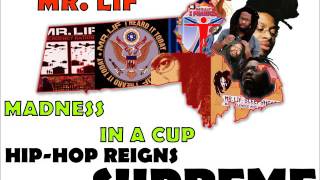 Watch Mr Lif Madness In A Cup video