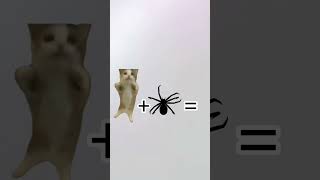 Spidercat happihappihappi #shorts #happyhappyhappy #catmemes #cat #spiderverse #spidercat #spydezz