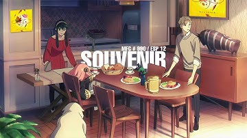 SOUVENIR ESP MFC # 990 DDR A3 2023