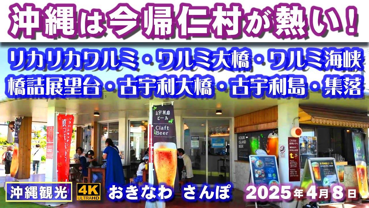 ◤沖縄旅行◢ 今帰仁村(なきじんそん)のホットスポット巡り♯958 おきなわさんぽ沖縄散歩 Nakijin Village is hot in Okinawa right now.