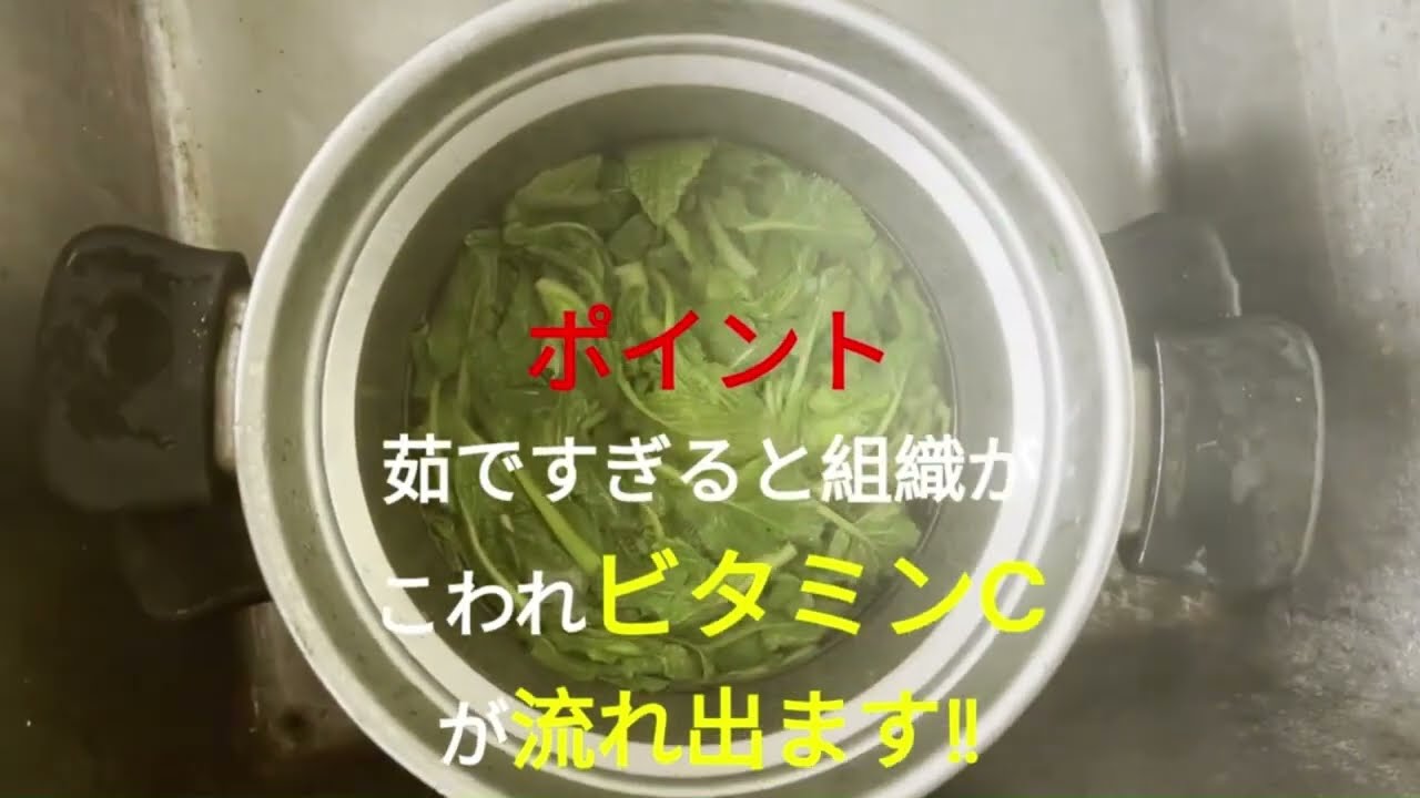 春本番・菜の花くきたち料理              #野草料理 #フキノトウ #菜の花料理 #アウトドア料理 #キャンプ #野草グルメ