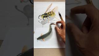 3D painting Incredible 3D pencil drawings 😱