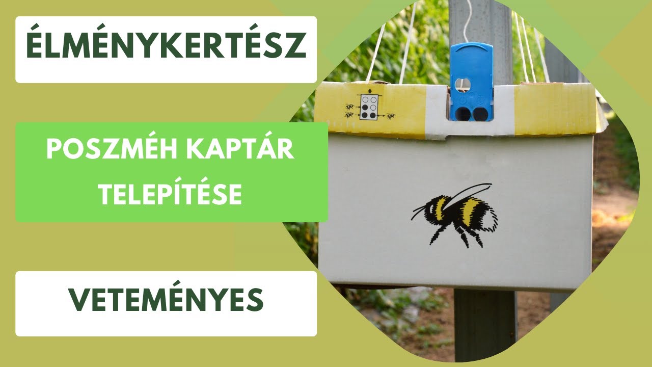 Poszméh kaptár telepítése🐝