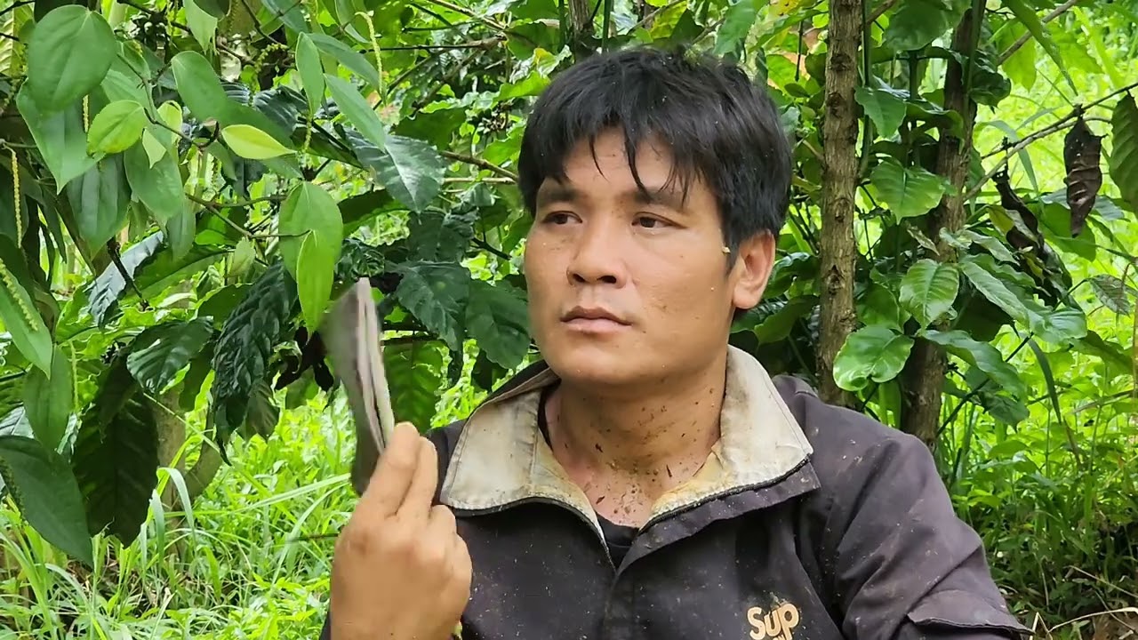 Отправляйтесь в лес, чтобы найти спрятанные ядовитые побеги бамбука, будущая жизнь