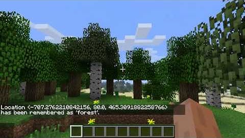 Waypoint plug-in for Minecraft