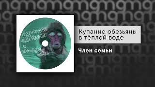 Купание Обезьяны В Тёплой Воде - Член Семьи (Премьера Трека, 2023)