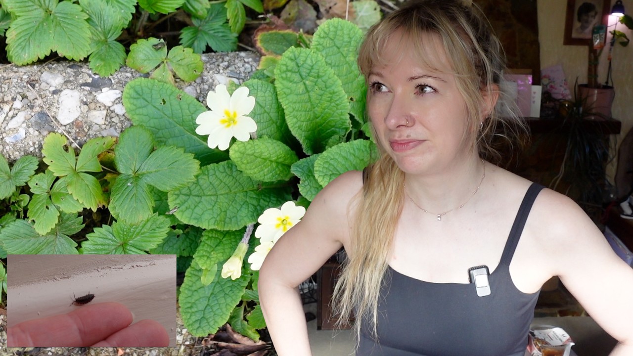 New Intruder Living Here For a Week! Making Boxers! & New Fave Glute Exercise!