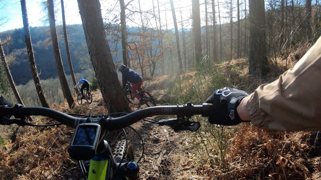 Germany's secret MTB trails are the best, meeting mr fox. 4K reupload