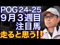 【POG/24-25】9月3週目デビューの注目新馬を紹介【めちゃくちゃ走る⁉️陣営絶賛のブラウンラチェットが登場!】