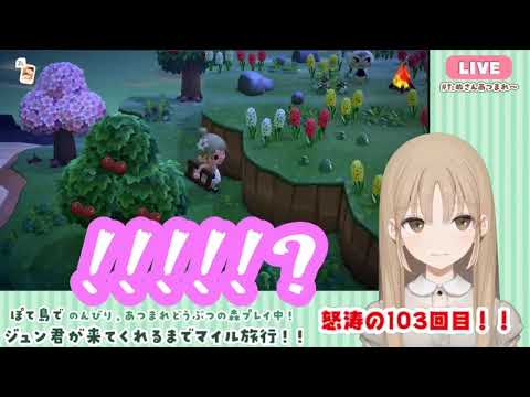 【にじさんじ切り抜き】ジュン君をお迎えできて大興奮のシスター・クレア【あつ森】