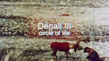 Pittsburgh Modular Documentary Films Presents the Lifeforms SV-1b Denali Trilogy Part 3