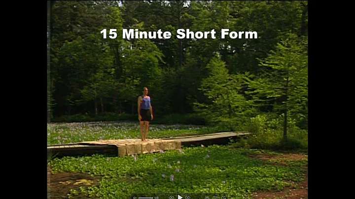 Short Form 15 Min : 1995