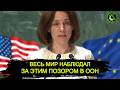 Такой чуши я еще не слышал в ООН Заявление ЕС на Генеральной Ассамблее Такой чуши я еще не слышал в ООН Заявление ЕС на Генеральной Ассамблее