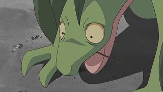 Grovyle And Dusknoir Must Prove Theyre Not