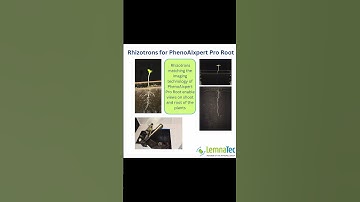 PhenoAIxpert Pro Root - Rhizotrons and Phenotyping