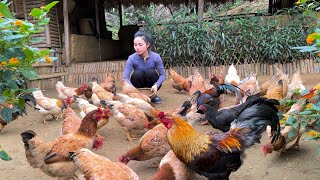 FULL VIDEO: 75 Days of building and harvesting duck eggs, sugar cane, and papaya to go to market