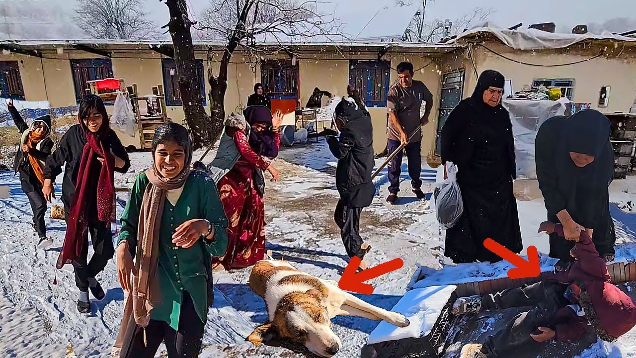 Amazing events on a snowy day at the Doora's farm