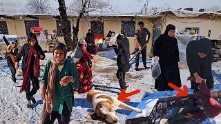 Amazing events on a snowy day at the Doora's farm