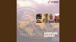 Rhythm Safari