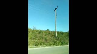 Kandıra Sahil Köyleri Geçiş Güzergahı,Yol Videoları Amatör Çekimler Ama Olsun