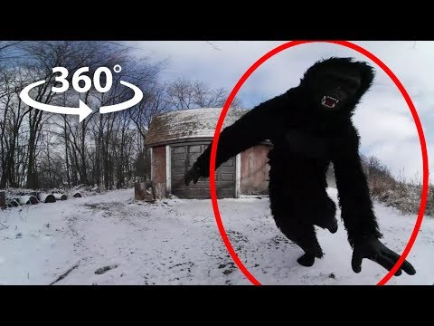 360 Bigfoot | VR Horror Experience