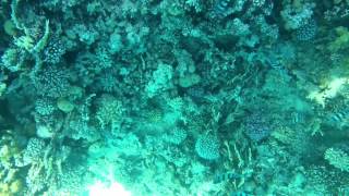 VID 20140917 183419 1