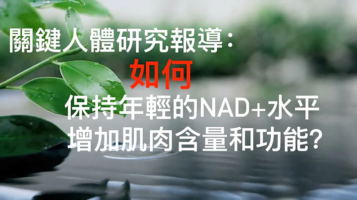 提高肌肉力量、NAD+含量，延長健康壽命！ - 天天要聞
