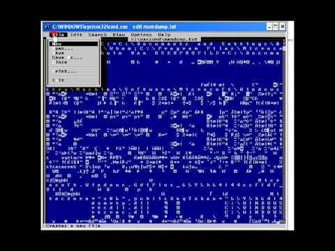 Dumping Passwords From Memory With Pmdump