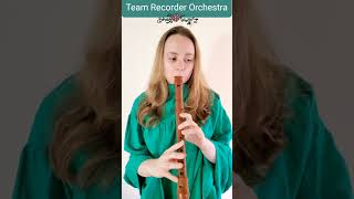 Team Recorder Orchestra Submission! Pase el Agoa on Alto Recorder @Team_Recorder