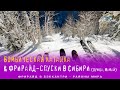 ⛷ Бомбическая каталка & фрирайд-спуки в Сибири (Лужба, Мамай) | Лучшее начало сезона - ТАМ ⚡