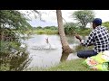 Big Rohu fishing Amezing 🎣🐟 single hook fishing Krishna village fishing unique Fishing