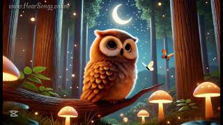 Kids Bird Songs - Owl’s Lullaby | Songs for Kids to Sing | Children's Songs and Rhyme 2025 Latest