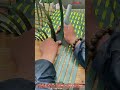 卓越した編み込み技術！道具を駆使した籐の成形技術