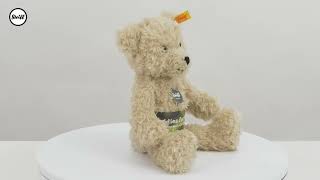 Steiff 023026 Teddies for Tomorrow Anton, Cuddly & Kids Teddy Bear @teddybeartreasures2860