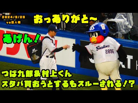 つば九郎 村上くんからスタバ貰おうとするもスルーされる！？ 2024/9
