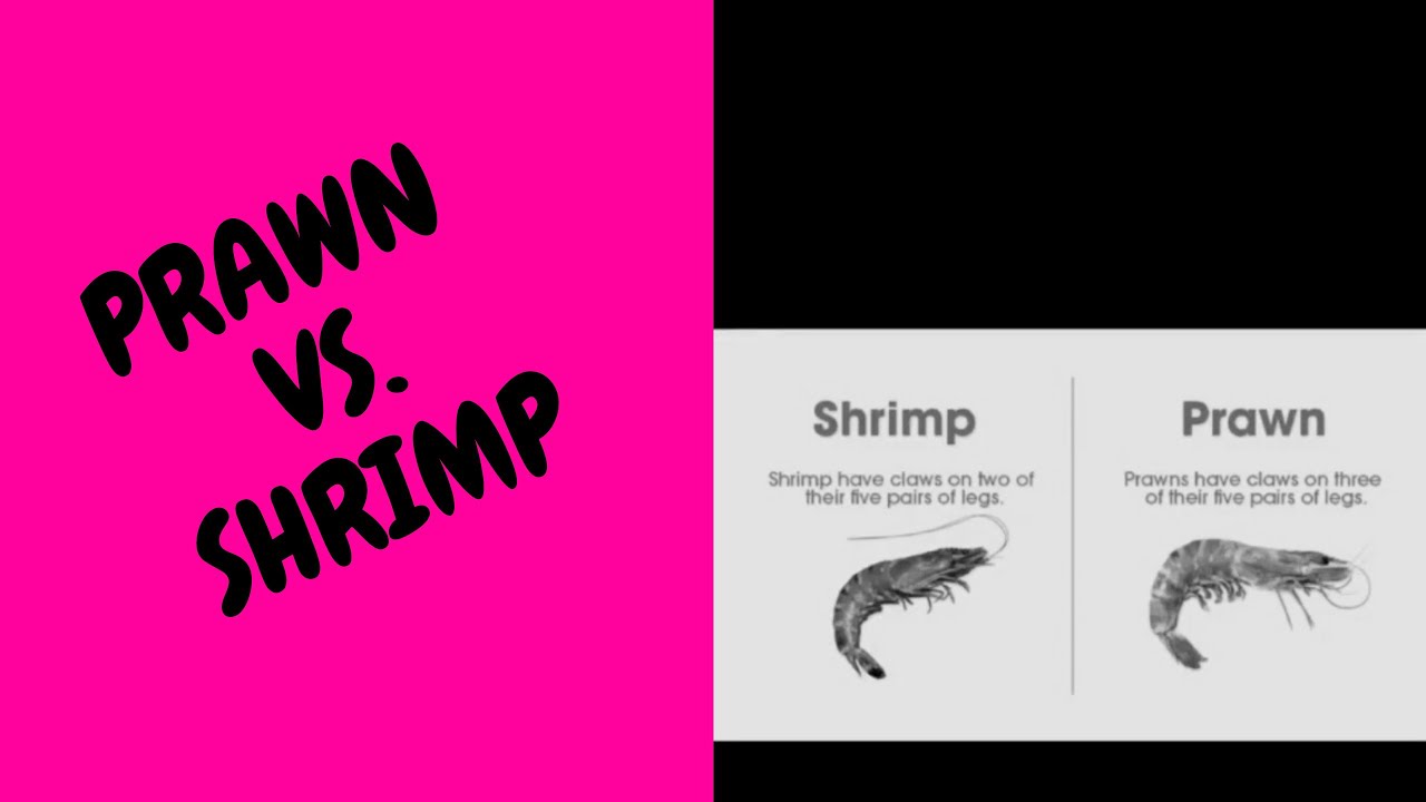 Prawn Vs. Shrimp