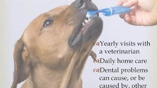 The Science of Smiles