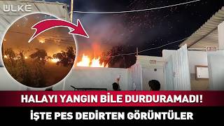 Halayı Yangın Bile Durduramadı! İşte Pes Dedirten Görüntüler