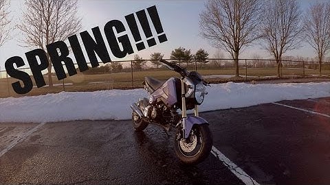 Honda Grom & LED Flasher Relay Install