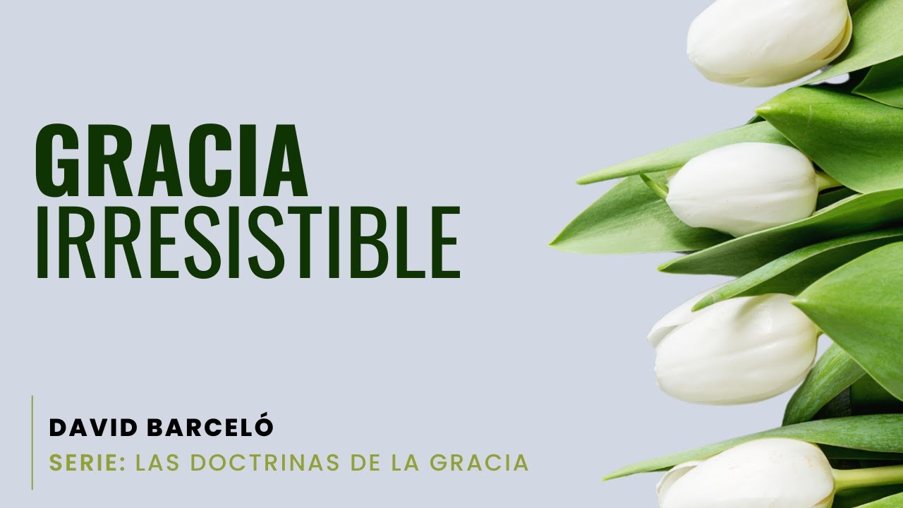 ¡Gracia irresistible! - David Barceló