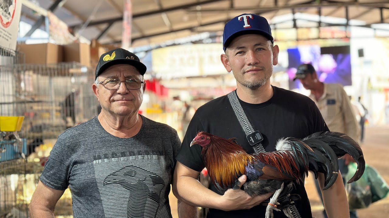 Calzonazo en Mega Derby Intercontinental Arandas, Jalisco 2024