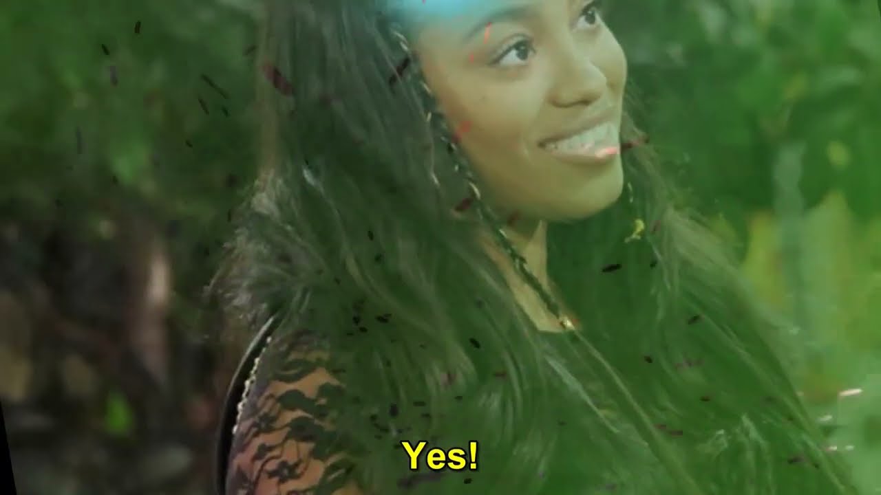 YouTube video image 2