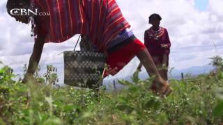 Three Gifts That Transformed a Village