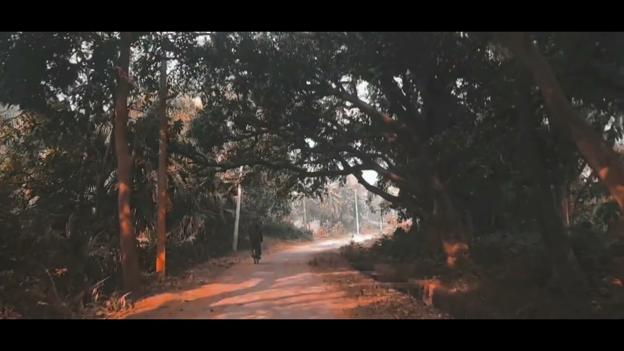 Capcut Cinematic Colour Grading_tutorial _editing