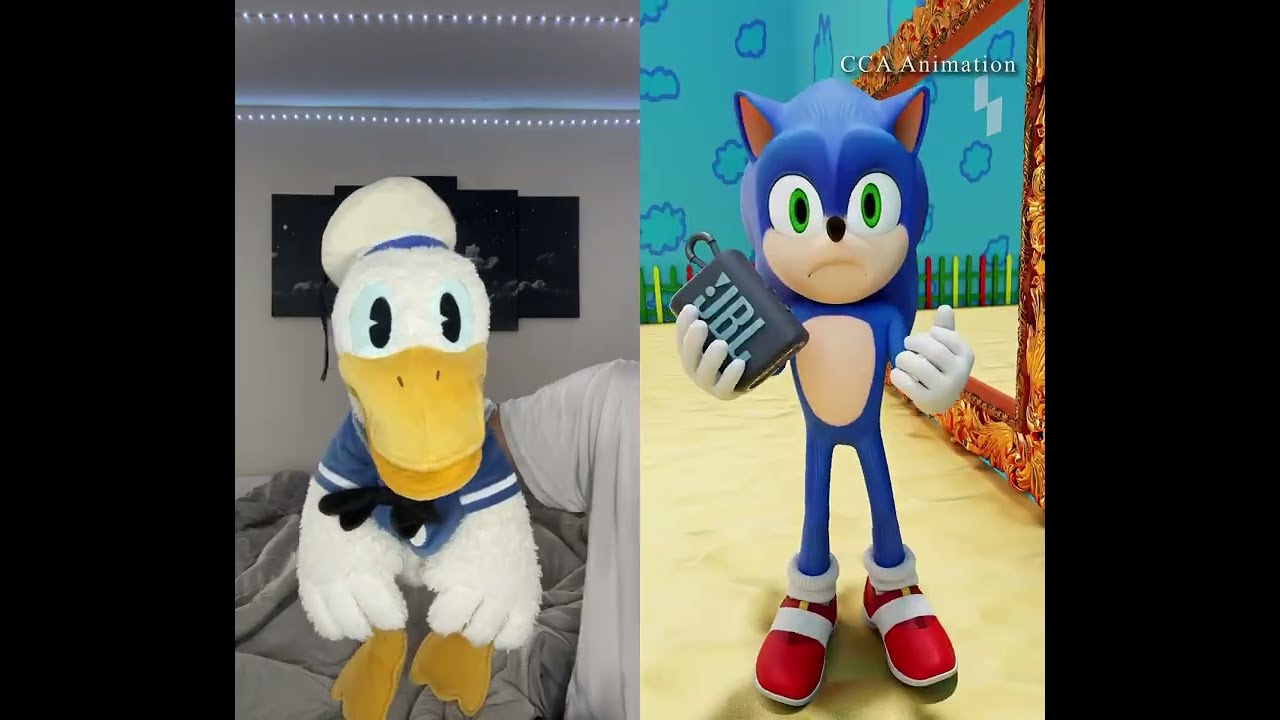 Donald Ducc Thinks Sonic Is Stupid
