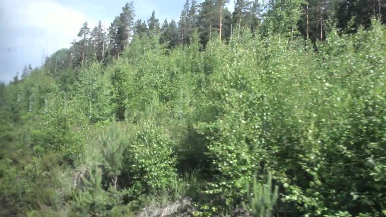 Прибытие на станцию Ермилово. Вид из окна дизеля Санкт-Петербург ...