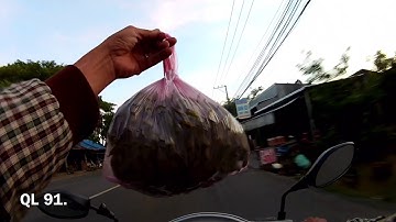 Quốc Lộ 91. Đoạn đi ngang qua huyện Châu Phú và Châu Thành. An Giang. Ngô Long chiều  _.11.2020.