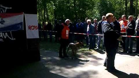 KNPV object Stilzijn